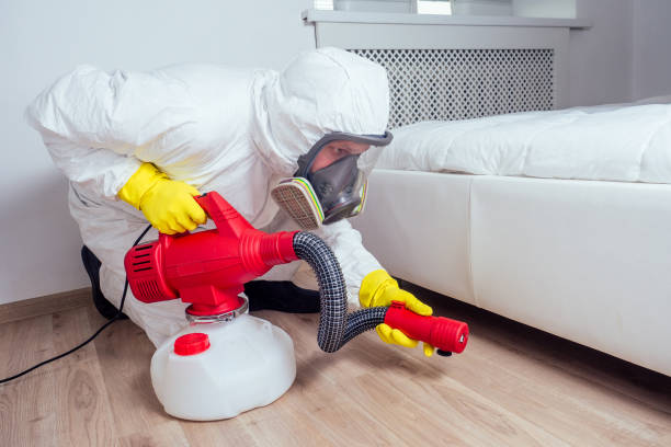 Wasp Removal Services in Bloomingdale, NJ