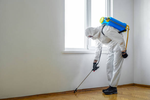 Best Exterminator Services  in Bloomingdale, NJ