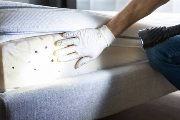 Best Wasp Removal Services  in Bloomingdale, NJ