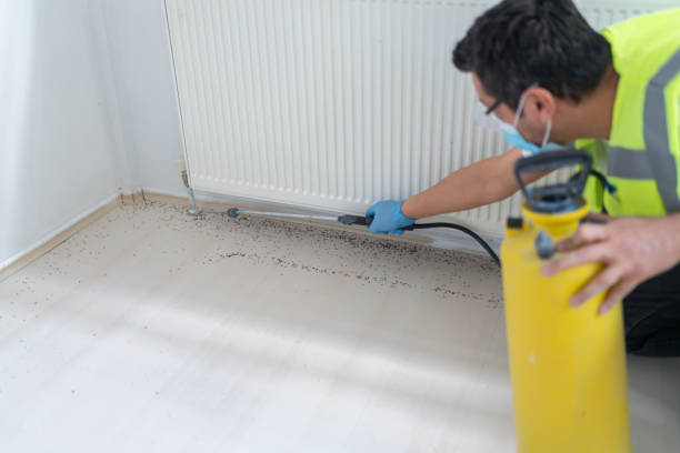 Pest Control Cost in Bloomingdale, NJ