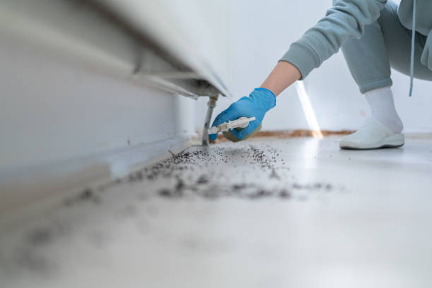 Best Residential Pest Control  in Bloomingdale, NJ